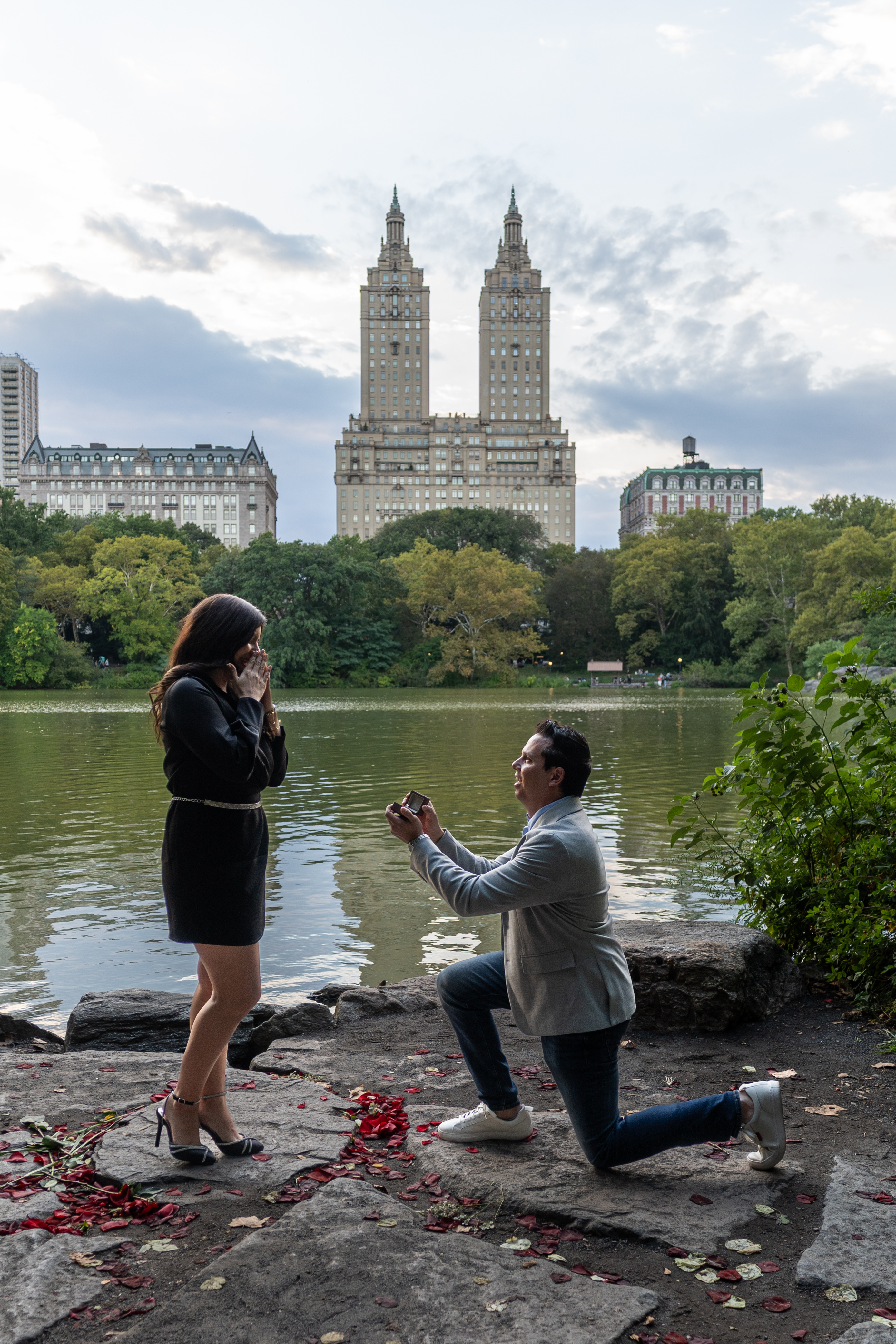 La propuesta - Central Park